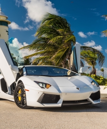 Lamborghini vs Ferrari: Which Supercar Should You Drive in South Florida? blog image